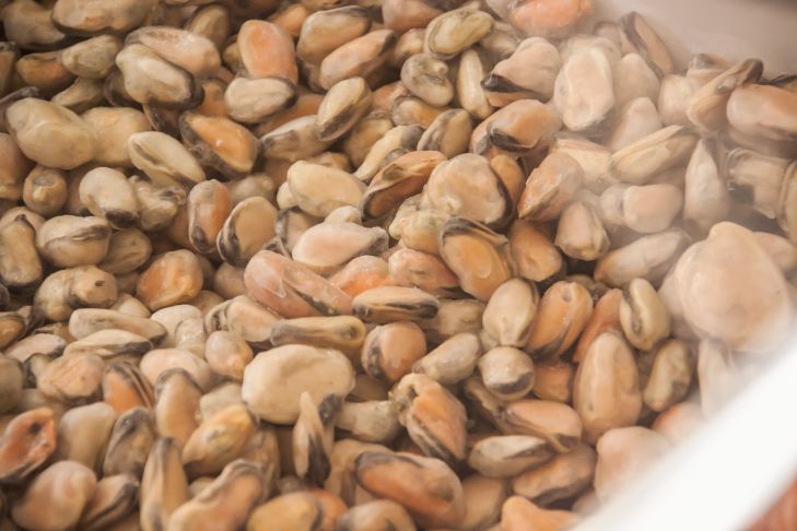 Essen Sie das sofort: 5 Lebensmittel, die helfen, den Besuch bei der Kosmetikerin hinauszuzögern Miesmuscheln