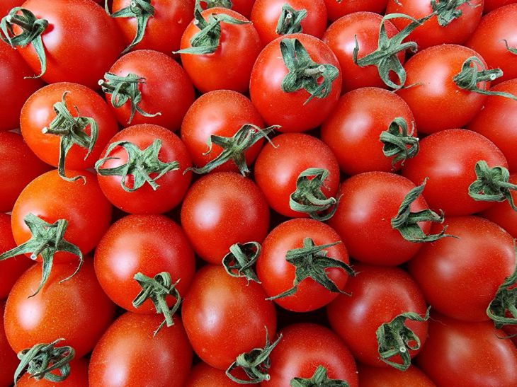 So schützen Sie Tomaten vor Blütenendfäule: der Eierschalen-Trick Tomaten