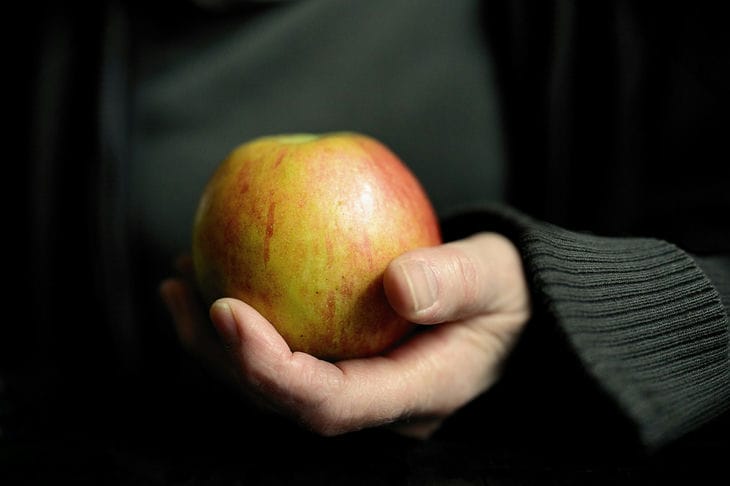 Ernährungsberaterin erklärt, was gesunde Ernährung ist Apfel