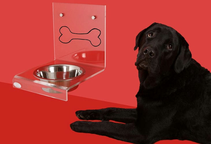 Alles zum Thema Getreide: Welche Getreidesorten Hunde essen dürfen und welche nicht – Tipps für Hundezüchter Schüssel