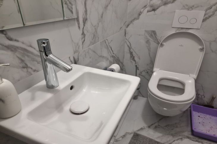 Führt zu Verstopfungen und Ausfällen: 5 Dinge, die auf keinen Fall ins Waschbecken und in die Toilette gespült werden dürfen – sie verstopfen die Rohre Sanitär
