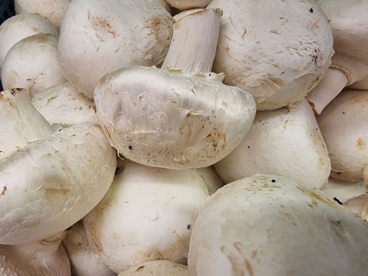 Welche Champignons man nicht essen sollte: 7 Anzeichen für verdorbene Pilze, die jeder kennen sollte Pilze