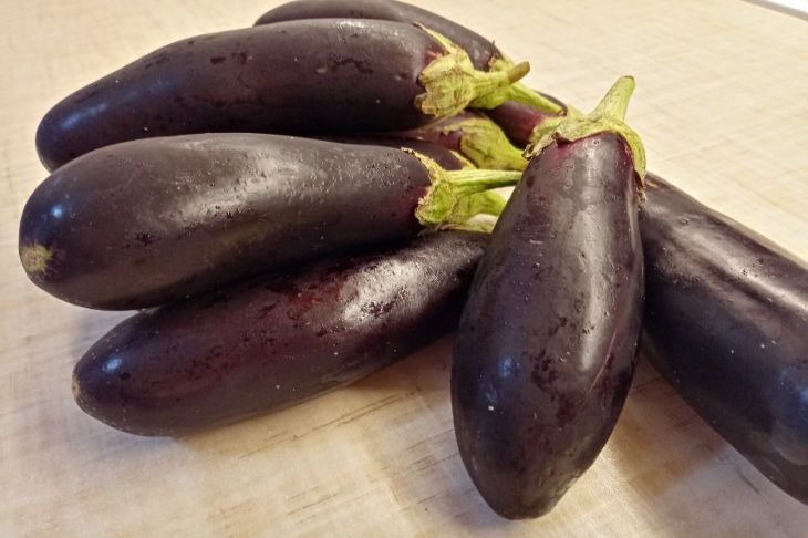 Auberginen: So schützen Sie Setzlinge im Frühjahr vor Schädlingen Aubergine