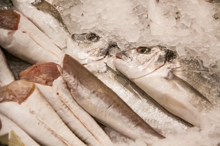 Wie in einer sowjetischen Kantine: ein Geheimrezept für gebratenen Seelachs, das sich leicht wiederholen lässt Fisch