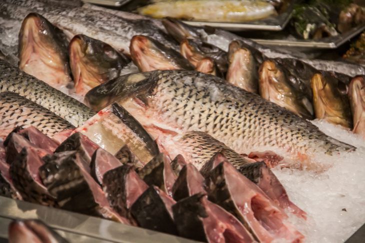 Genau so wird in Restaurants günstiger Fisch zubereitet: Sie werden es nie erraten Fisch