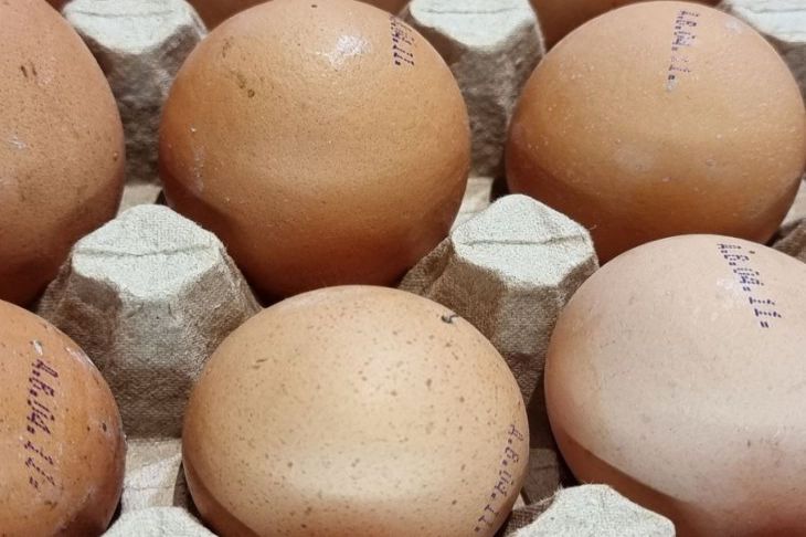In kochendem Wasser oder kaltem Wasser: In welches Wasser sollte man Eier zum Kochen geben? Eier