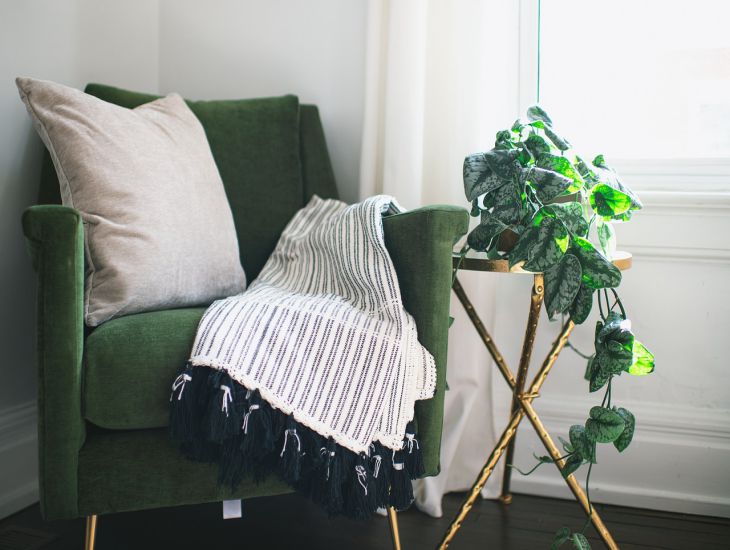 So verwenden Sie Blumen im Wohnzimmer: Tipps für Designer Stuhl, Pflanze