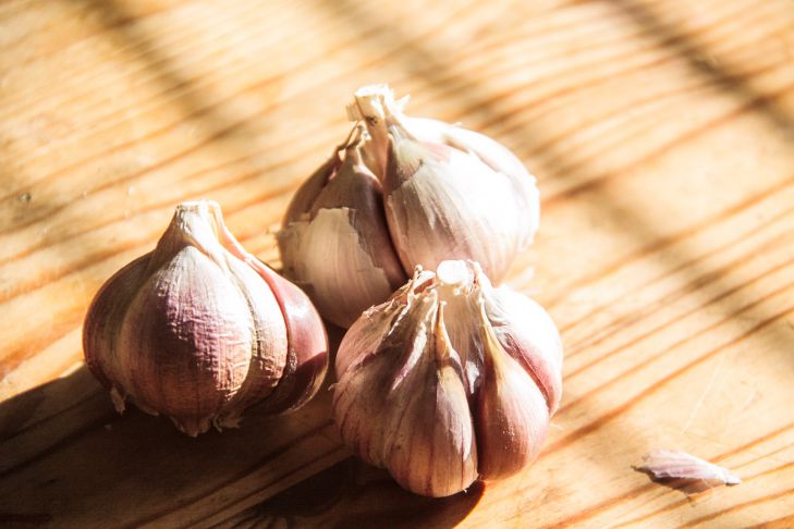 Was passiert mit dem Körper, wenn Sie täglich einen Teelöffel Honig mit Knoblauch trinken? Knoblauch