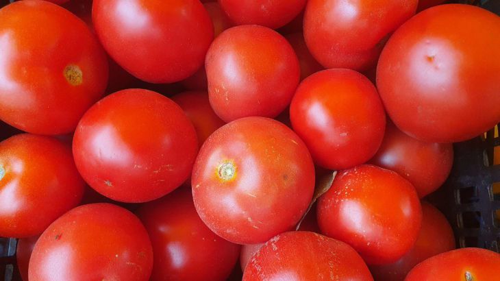 „Verbessert den Geschmack und das Wachstum von Früchten“: ein Produkt, das viele Vorteile für Tomaten hat Tomaten