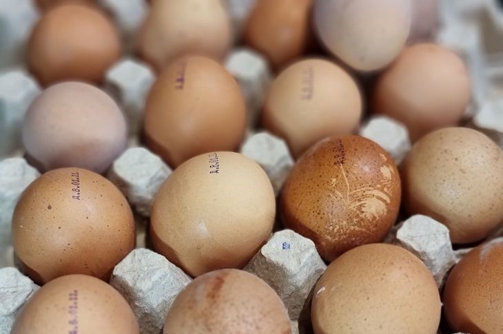 Welche Eier sind gesünder zu essen: Wachtel oder Huhn – nicht jeder kennt die Antwort Huhn