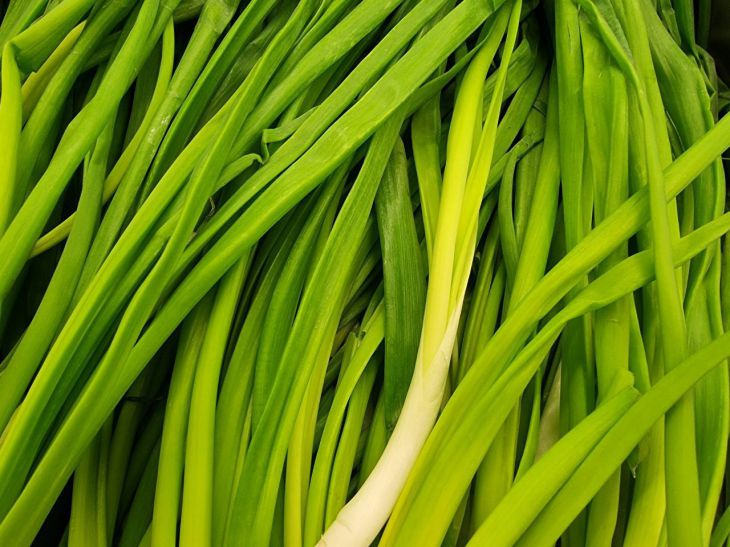Keine gelben Spitzen mehr, handtellergroße Köpfe: mehr braucht die Zwiebel nicht Zwiebel