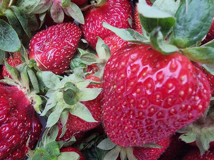 Der Arzt berichtete über Nutzen und Schaden von Erdbeeren Beeren