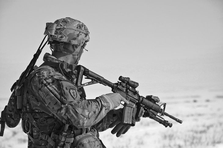 Pentagon verschiebt Übungen mit Georgien aufgrund einer Stellungnahme zu Russland auf unbestimmte Zeit Militär