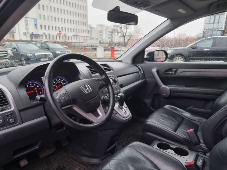 Der Arzt warnte die Russen vor Zecken, die in Autos leben Automobil