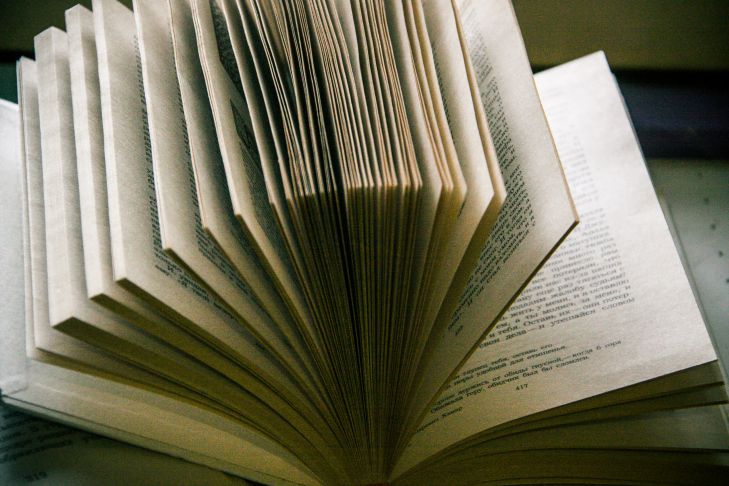 Rosobrnadzor berichtete über die Ergebnisse der Wiederholung des Einheitlichen Staatsexamens Buch