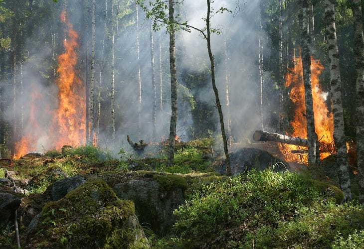Ein Feuerwehrmann ist beim Löschen eines Waldbrandes in Jakutien verschwunden Feuer