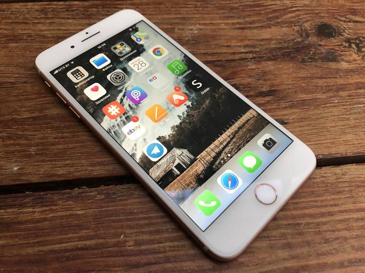 Die Russen beeilten sich, diese vier Anwendungen herunterzuladen Smartphone