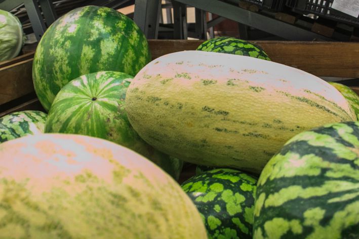 So stellen Sie fest, dass Wassermelonen und Melonen geerntet werden können: charakteristische Anzeichen - Hinweis für Sommerbewohner Wassermelonen
