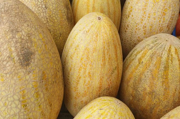 Warum ist es für Frauen gut, Melone zu essen? Melone