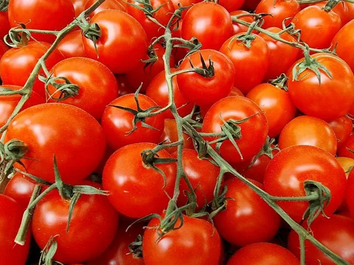 So verlängern Sie die Lebensdauer von Tomaten: effektive Lagerungsmethoden ohne Einmachen Tomaten