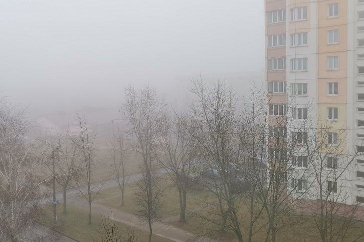 Volkszeichen für den 24. August 2024: Was bedeutet der Morgennebel? Nebel