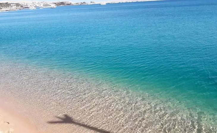 Studenten aus Finnland kauften eine Insel, um günstiger zu leben eine Insel