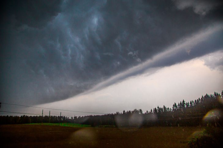 Volkszeichen für den 29. September 2024: Was bedeutet das wechselhafte Wetter? Wetter