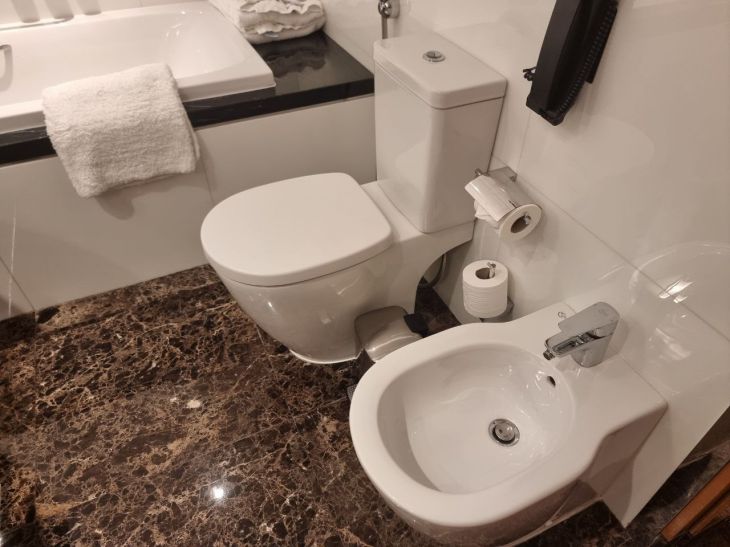 Bidet oder Hygienedusche: Wir verstehen die Feinheiten der Sanitärtechnik Sei