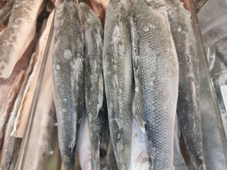 Hohe Preise und schlechtes Sortiment: Matvienko bezeichnete Fisch als ein Produkt, das für Russen nicht immer zugänglich sei Fisch