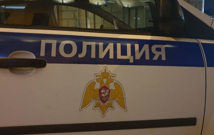 Der Sohn des Abgeordneten Milonov wurde in St. Petersburg geschlagen Die Polizei
