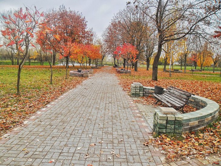 Welcher Feiertag ist heute: 15. November 2024 – Ereignisse und Zeichen des Tages von Akindina und Pigasius Park