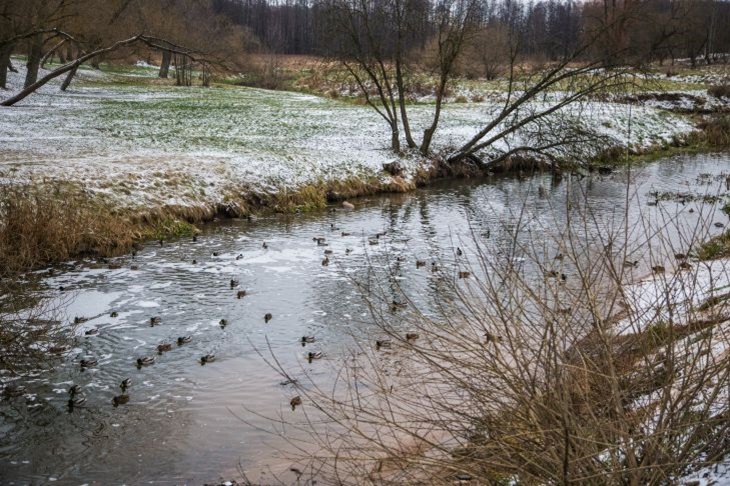 Welcher Feiertag ist heute: 21. November 2024 – Ereignisse und Zeichen des Michaelis-Tages Der Fluss