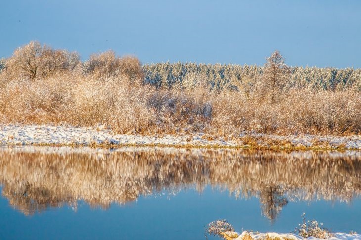 Welcher Feiertag ist heute: 7. November 2024 – Ereignisse und Zeichen des Tages der Wehklagen des Großvaters Natur