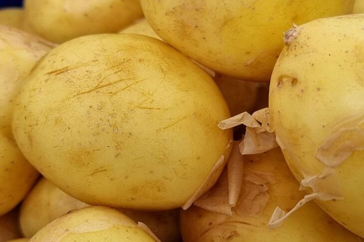 Welche Pflanzen sollten nicht mit Asche bestreut werden: Geheimnisse einer sicheren Landwirtschaft Kartoffel