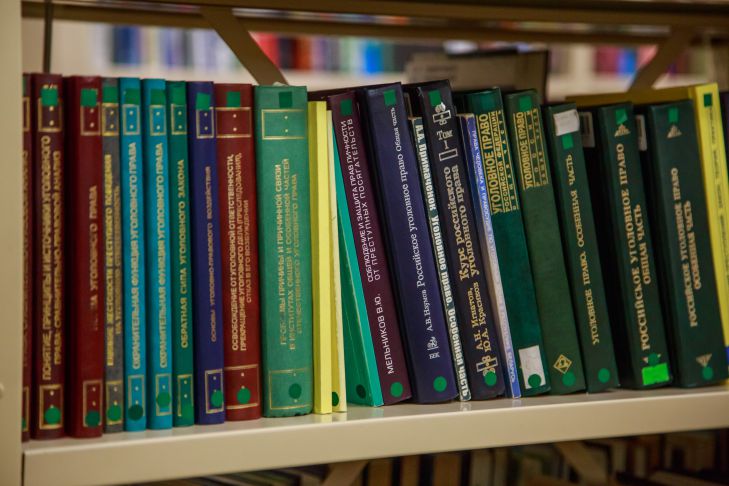 So dekorieren Sie Bücherregale im Innenraum: originelle Ideen für alle Bücher