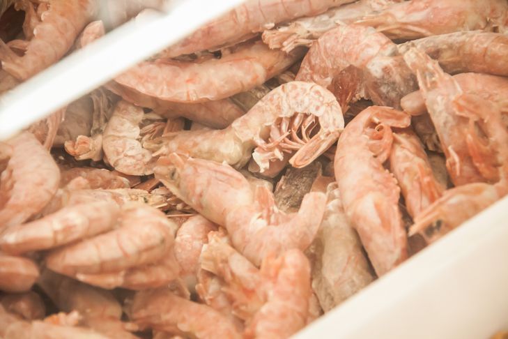 Besser als frisch: Diese Produkte sollten nur gefroren gelagert werden Garnele