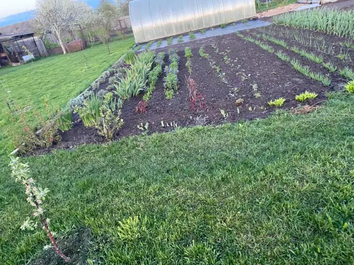 Ihr Garten leidet still und leise: 7 überraschende Tipps, um ihn jetzt vor dem Sterben zu bewahren Garten