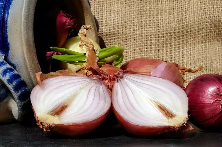 Warum Sie Zwiebeln immer noch falsch schneiden: Tränen und Geruch verschwinden sofort dank diesem genialen Trick Zwiebel