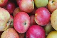 Äpfel